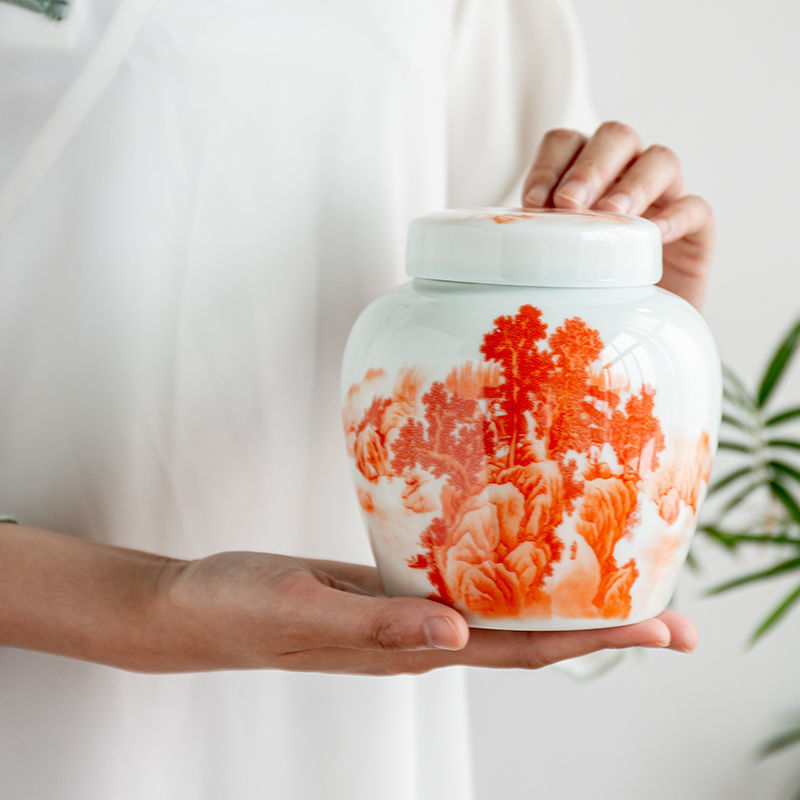 Dry Food Snacks - Bote de porcelana de calidad con