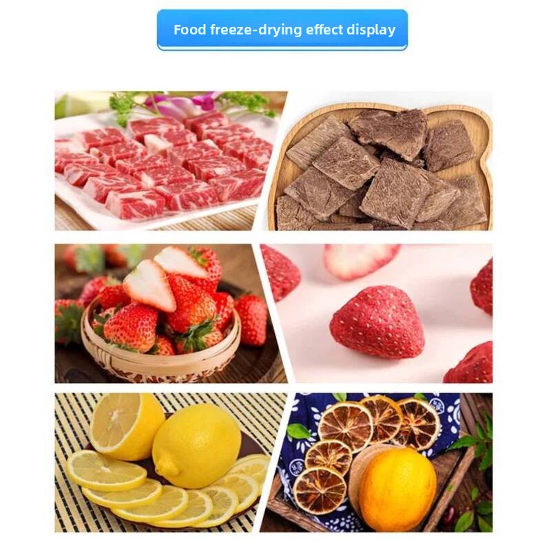Secador de alimentos al vacío, - Snacks Food In Us reseña y precio